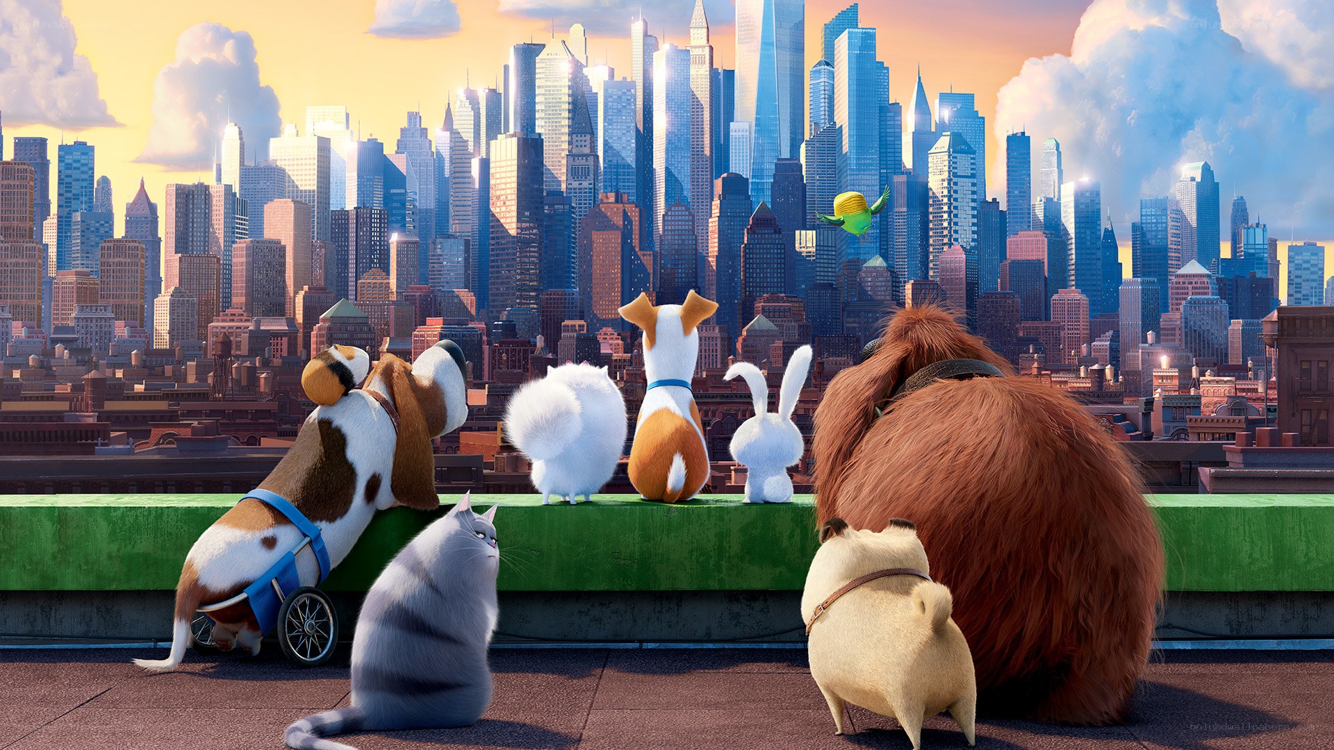 animals on a rooftop city view