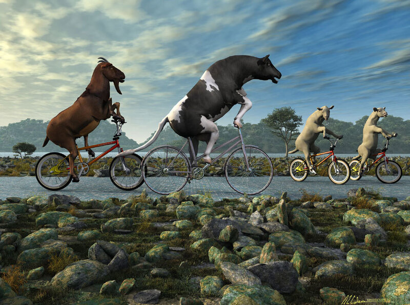 Animals on Bicycles — Blue