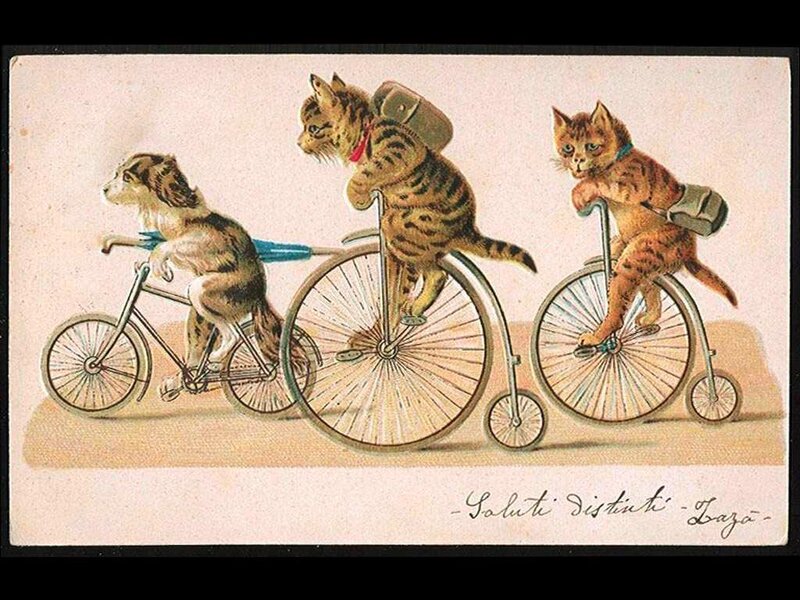 Animals on Bicycles