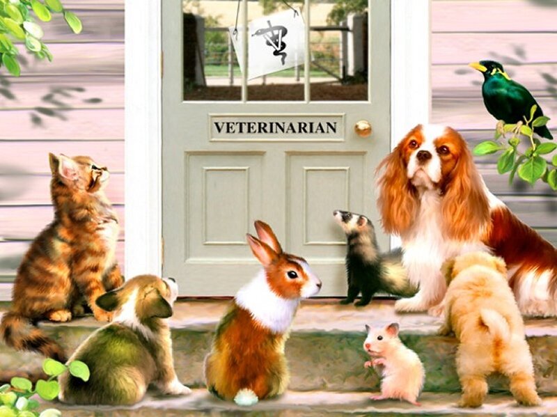 Animals Outside Vet Clinic