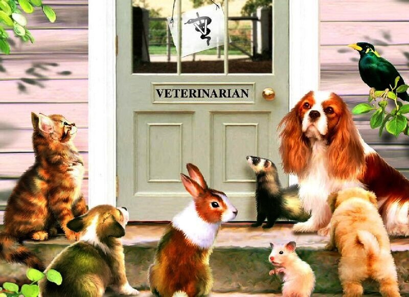 Animals Outside Vet Office