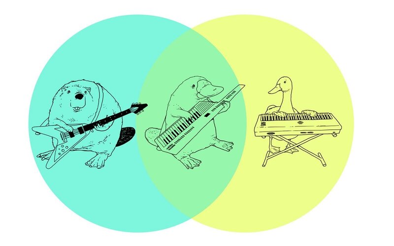 Animals Playing Instruments
