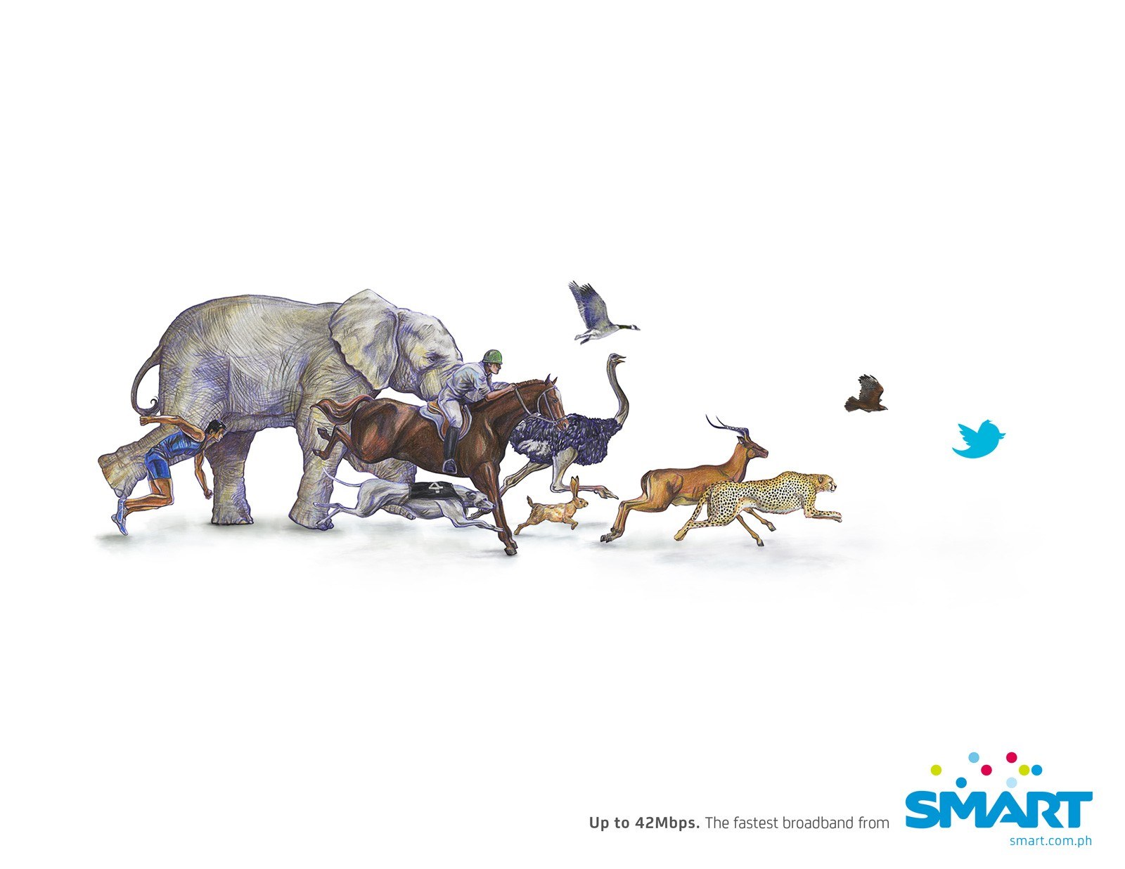 animals running with internet speed