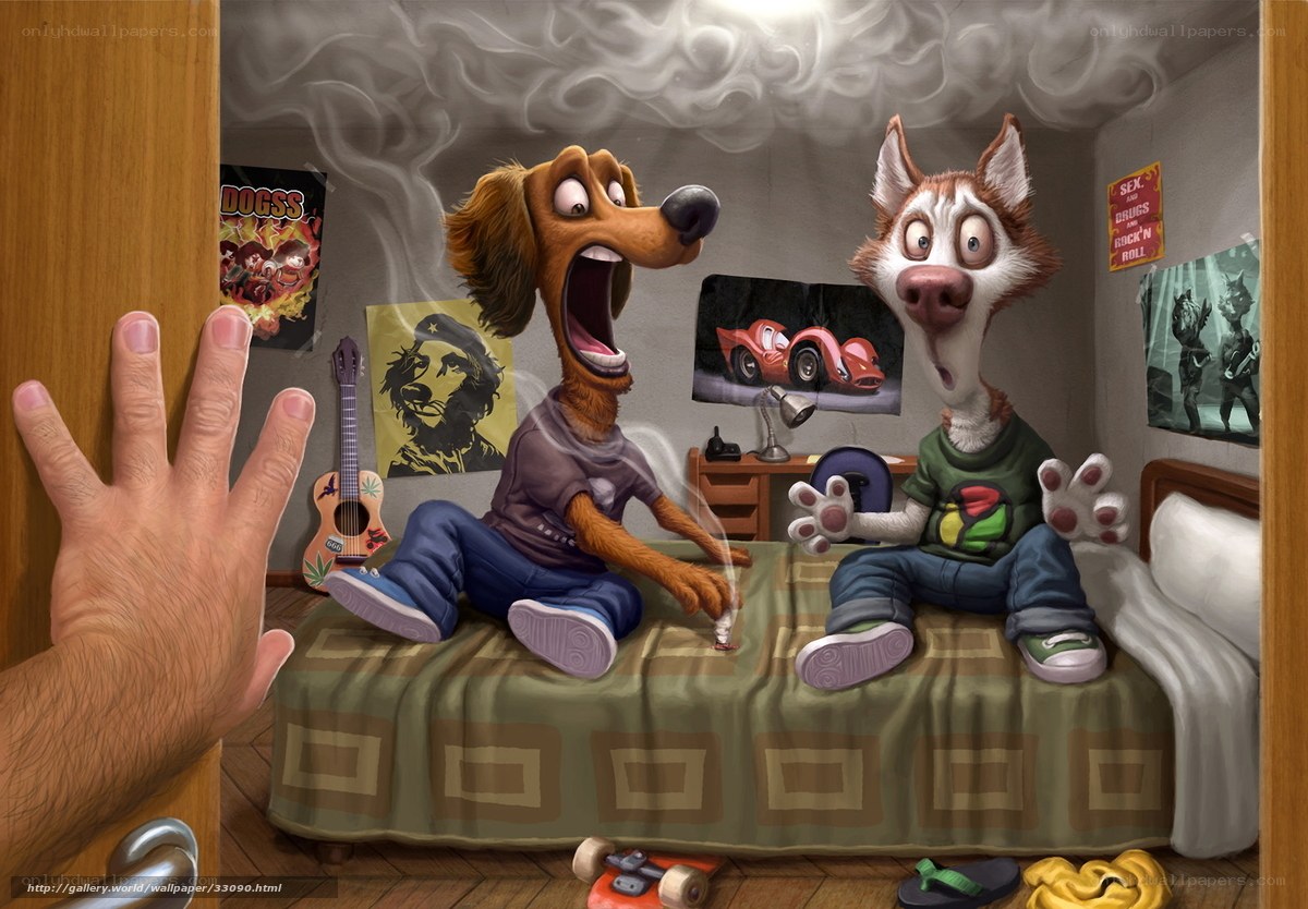 Animals smoking in bedroom