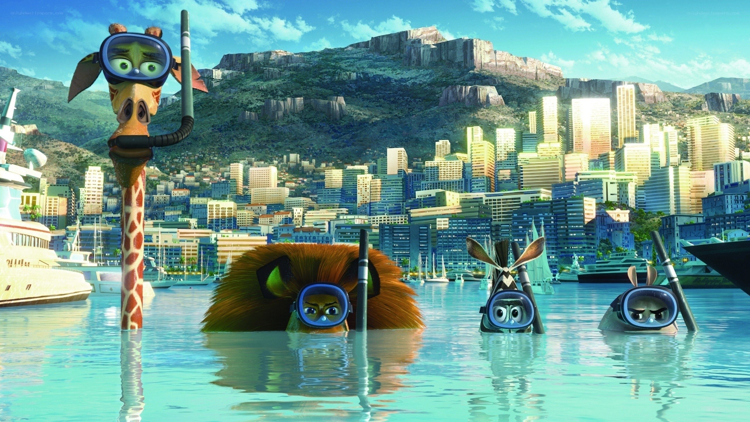 animals snorkeling in city harbor