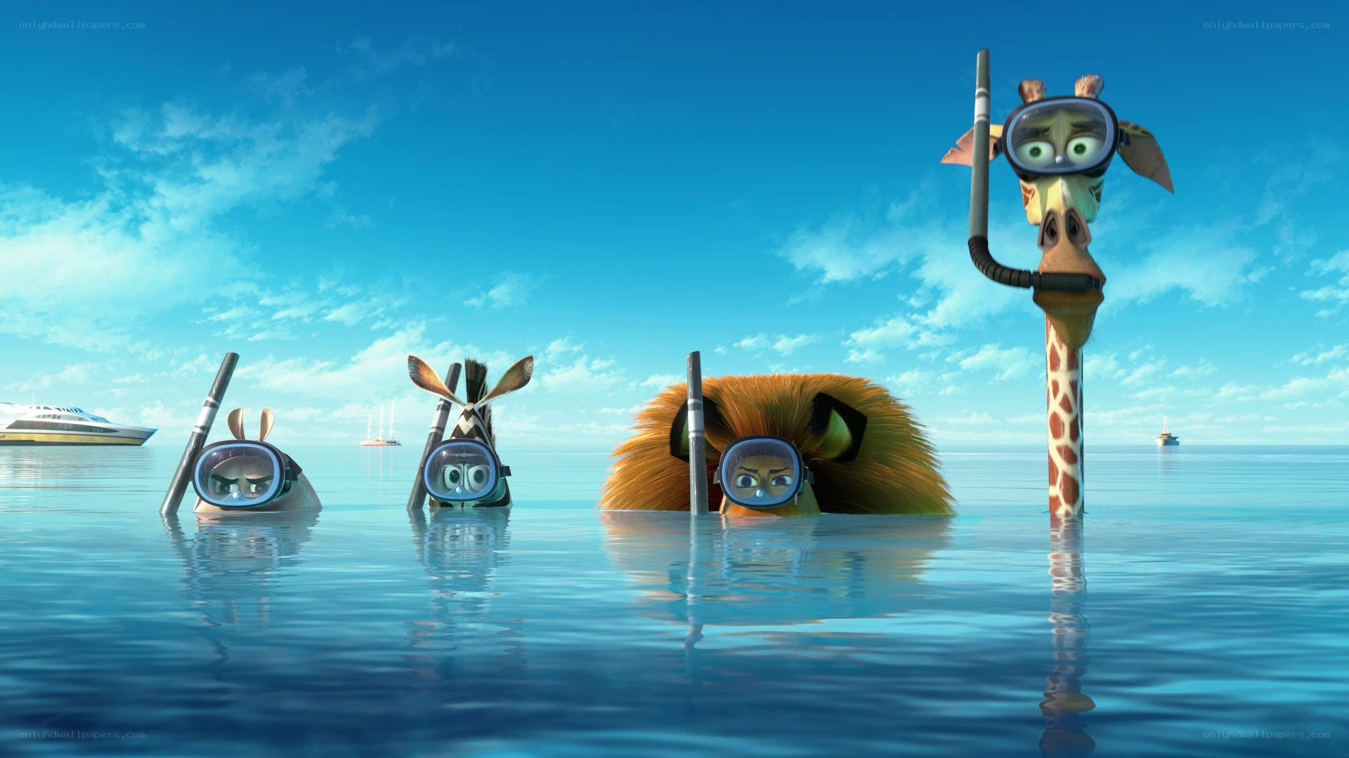 Animals snorkeling in ocean