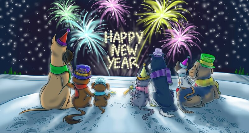 Animals Watching Fireworks