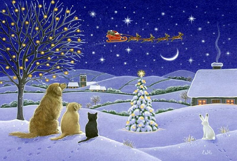 Animals Watching Sleigh