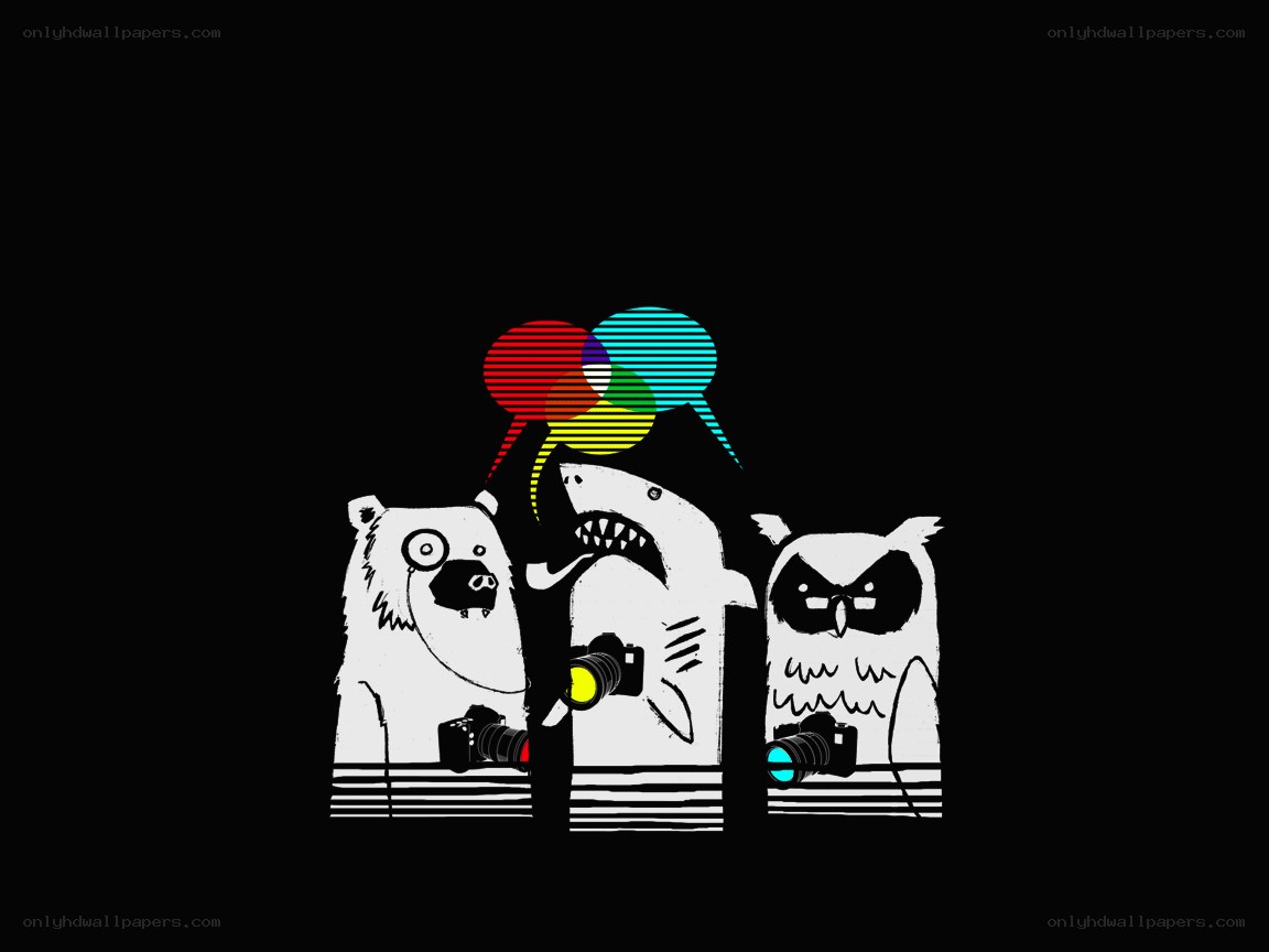 animals with cameras and speech bubbles