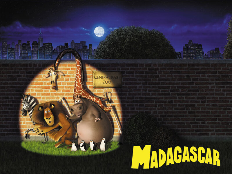 Animated Animals at Night