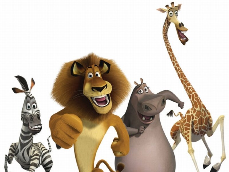 Animated Animals Group