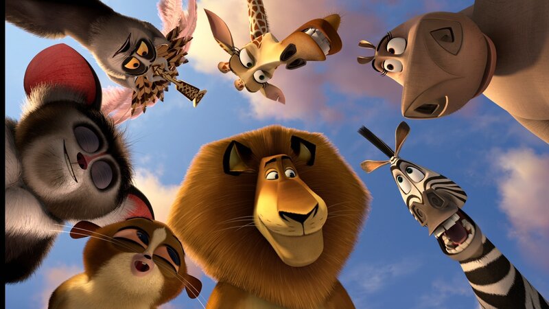 Animated Animals Looking Up