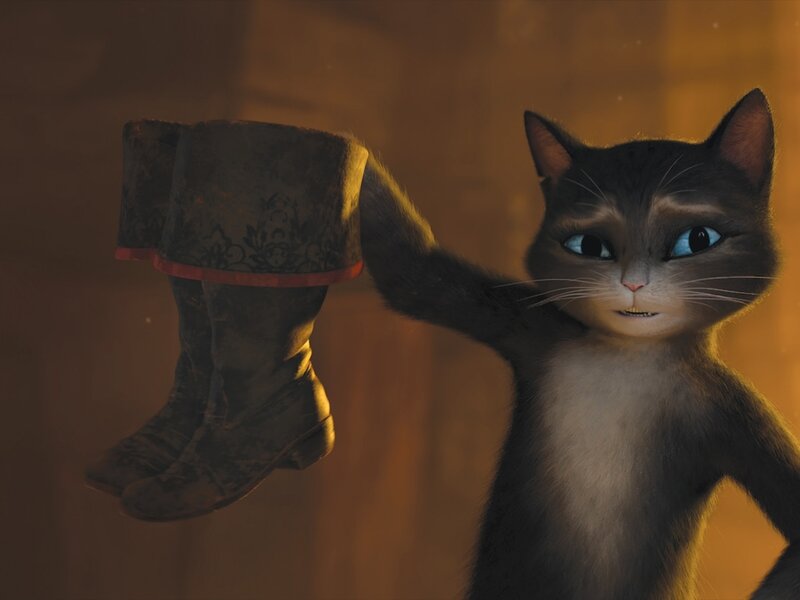Animated Cat Holding Boots