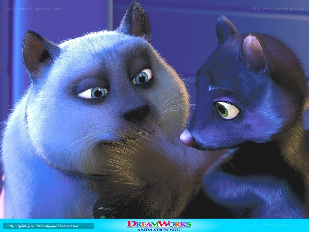 Animated cats in blue light