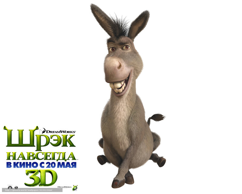 Animated Donkey Character