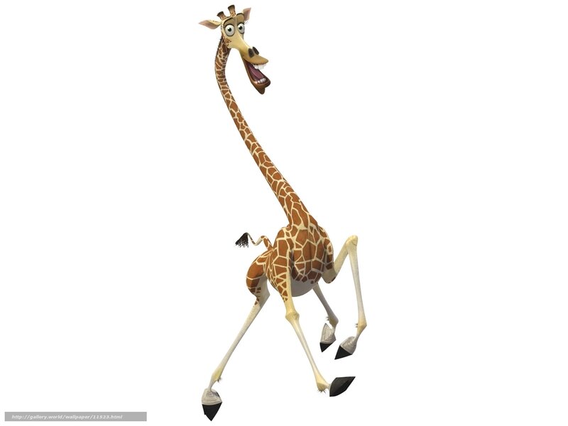 animated giraffe character