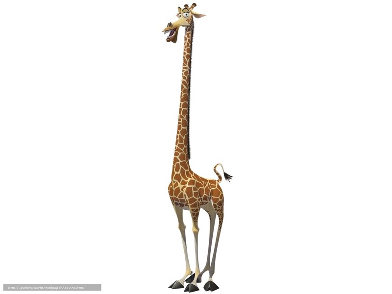 animated giraffe character