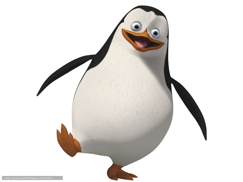 animated penguin character