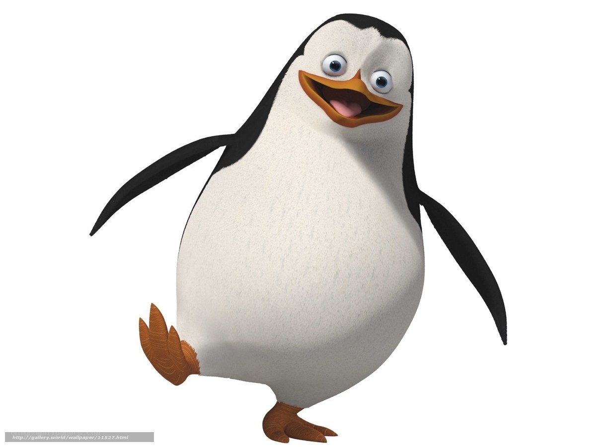 animated penguin character