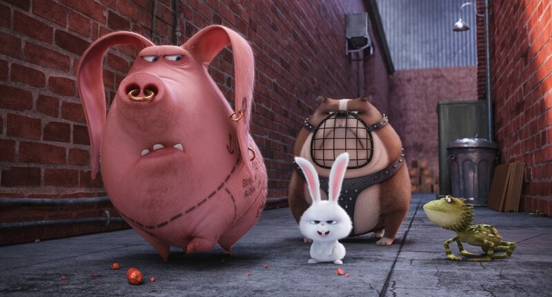 Animated Pig and Rabbit
