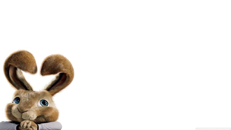 Animated Rabbit Character — Brown