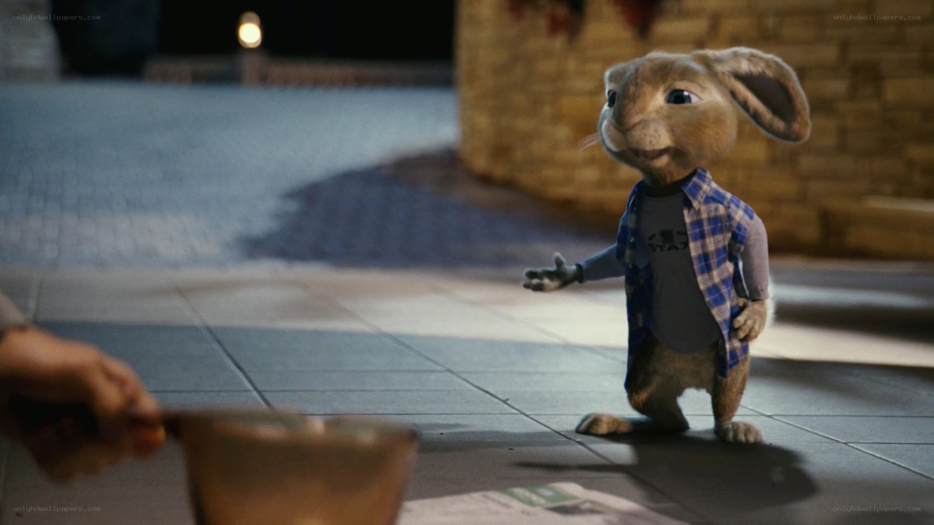 animated rabbit character scene