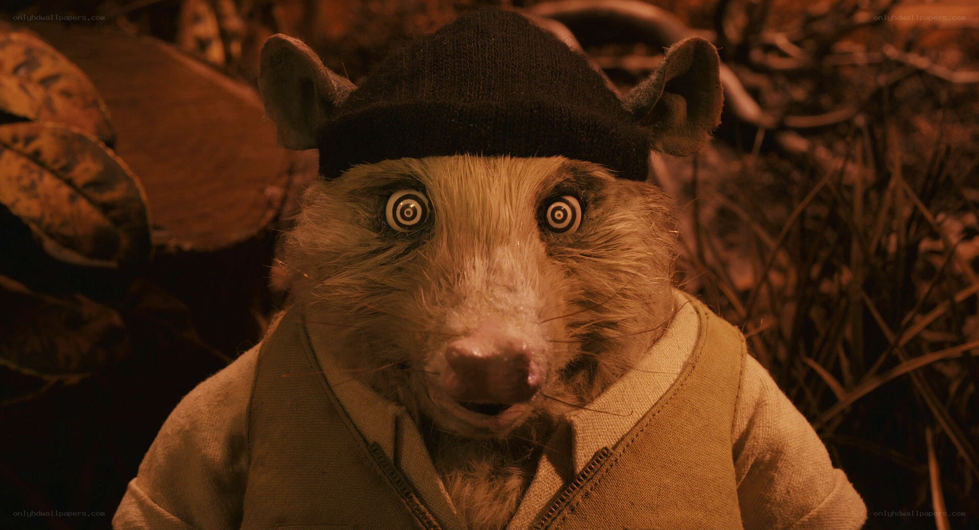 animated rat character in hat