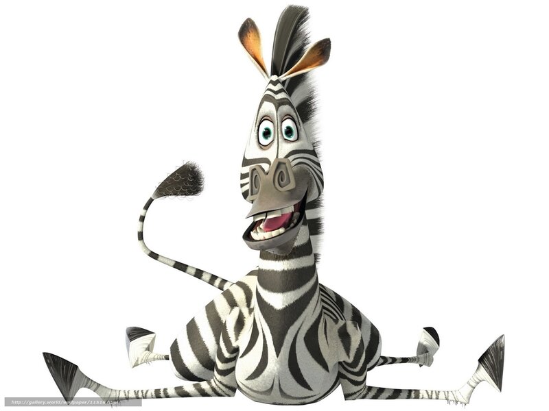 Animated zebra character