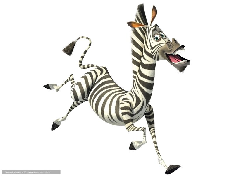 Animated zebra character