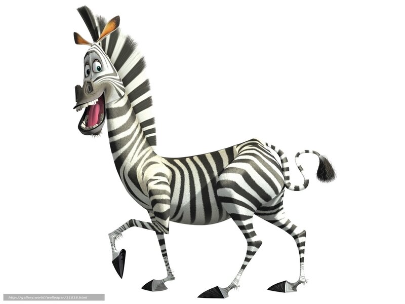 animated zebra character