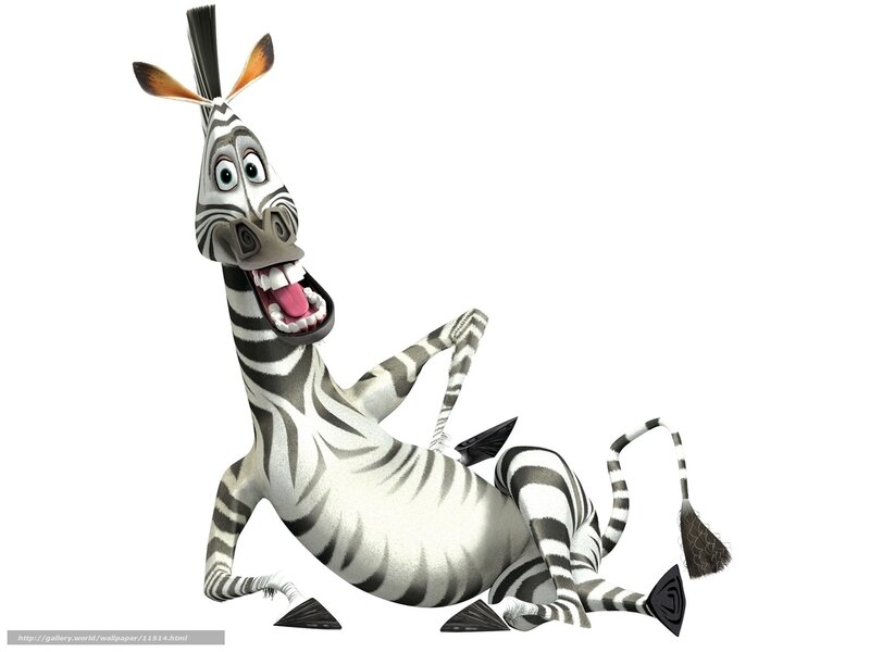 animated zebra character