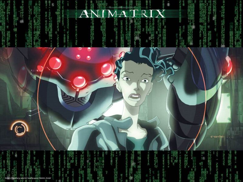 Animatrix character in digital world