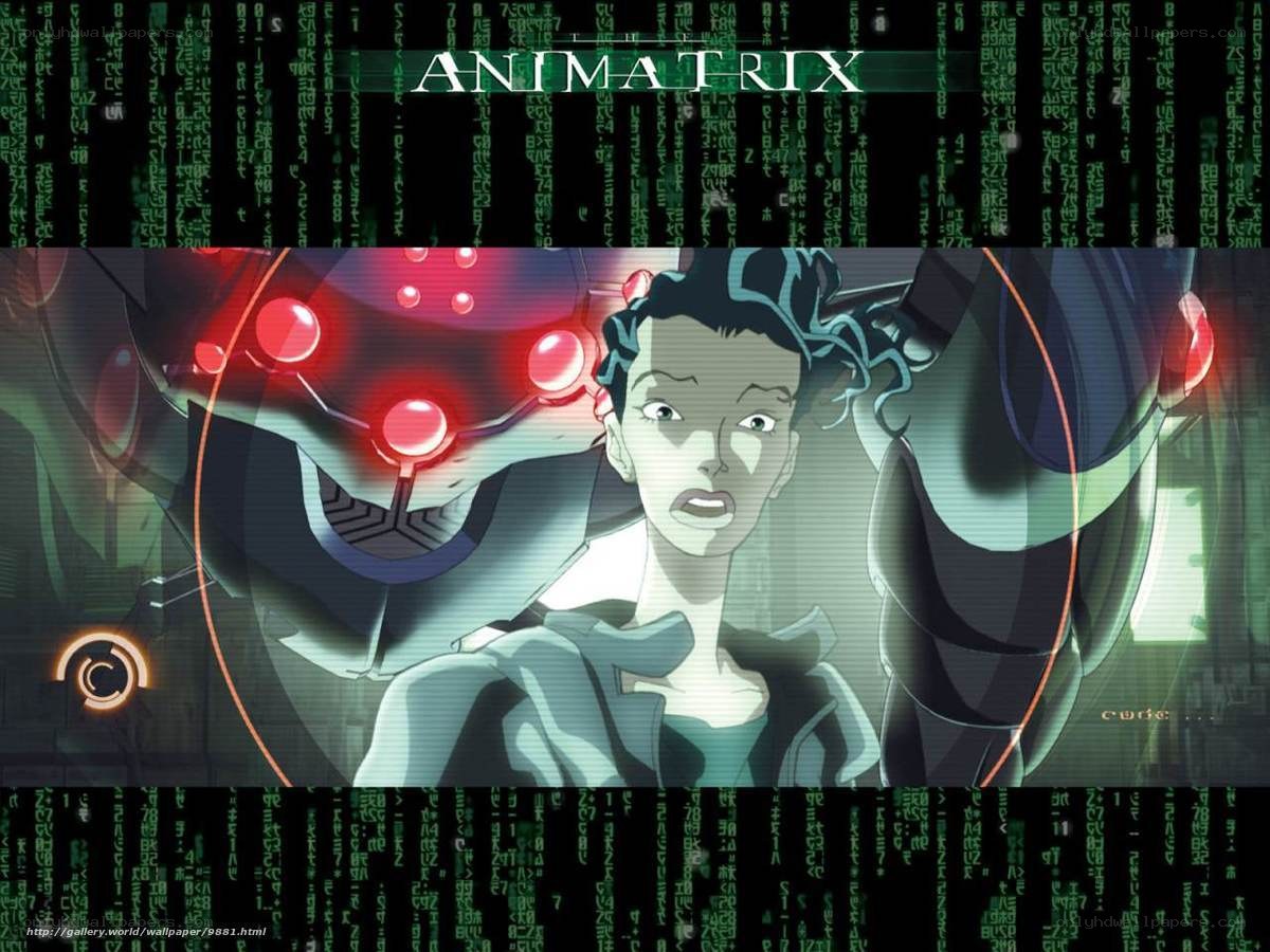 Animatrix character in digital world
