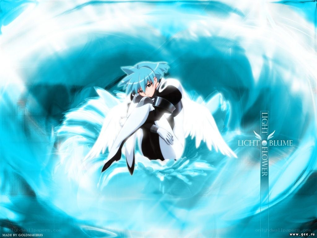 anime angel character with wings