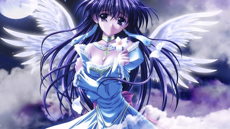 Anime Angel with Wings — Blue, Serene, Night, Flower
