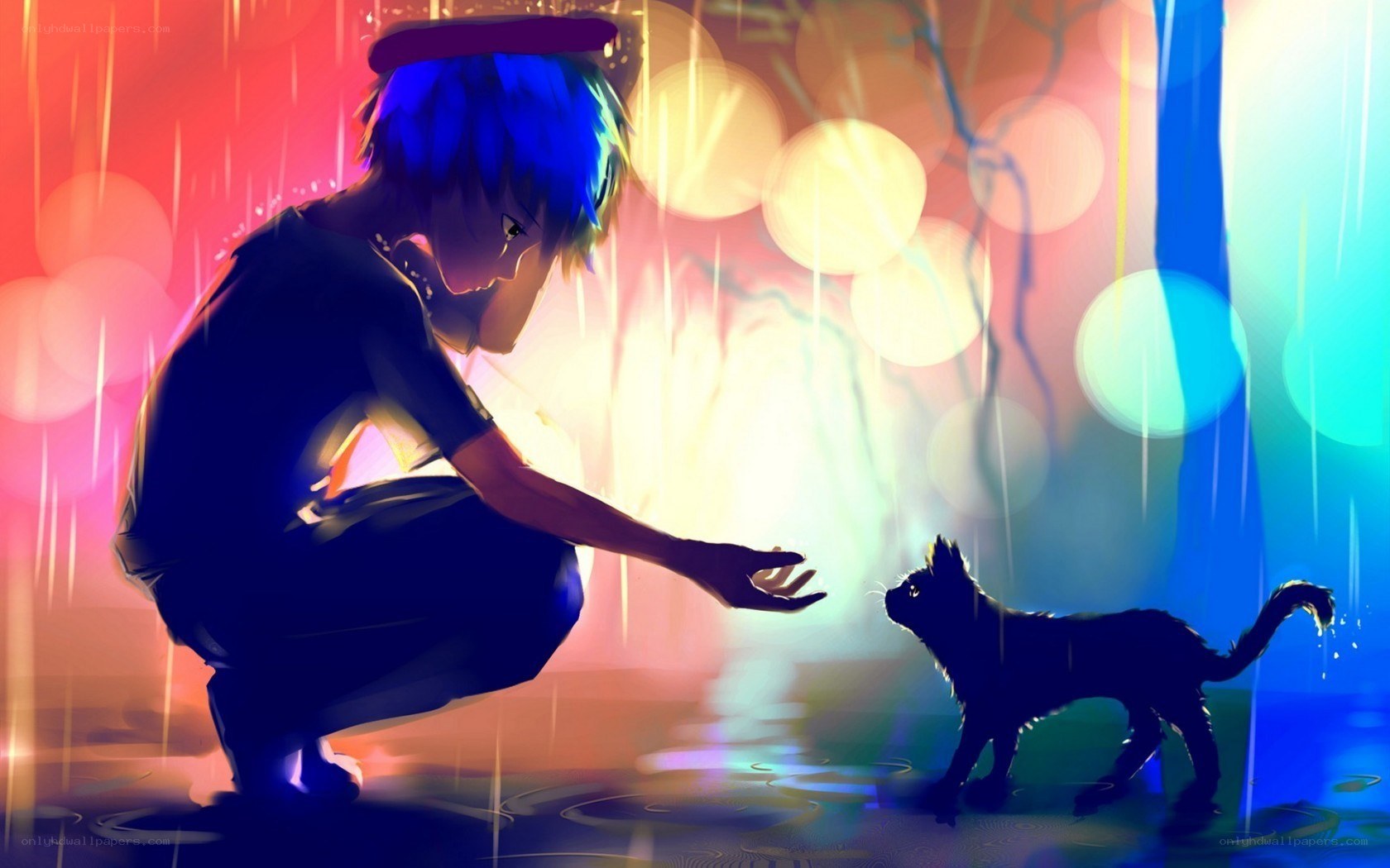 anime boy and cat in rain