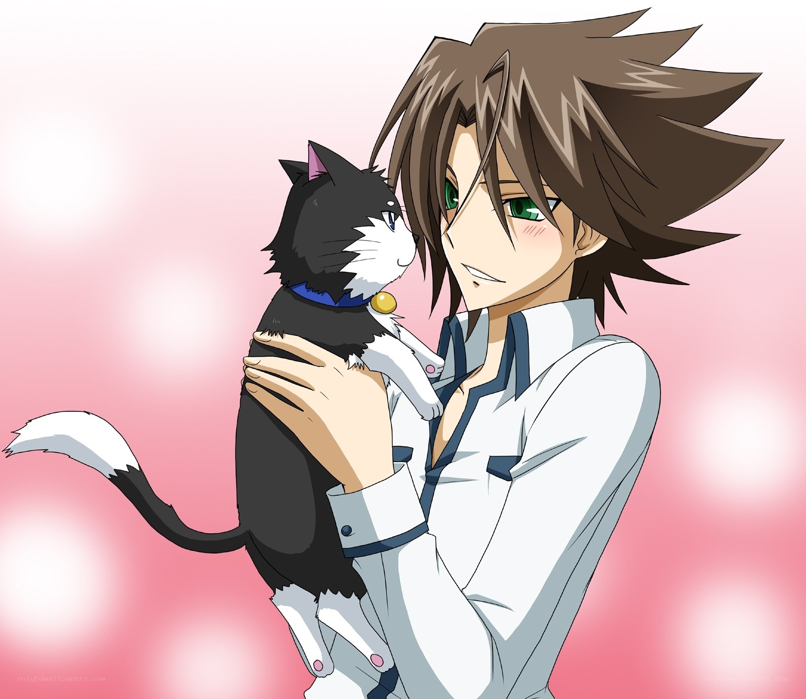 anime boy holding a cat