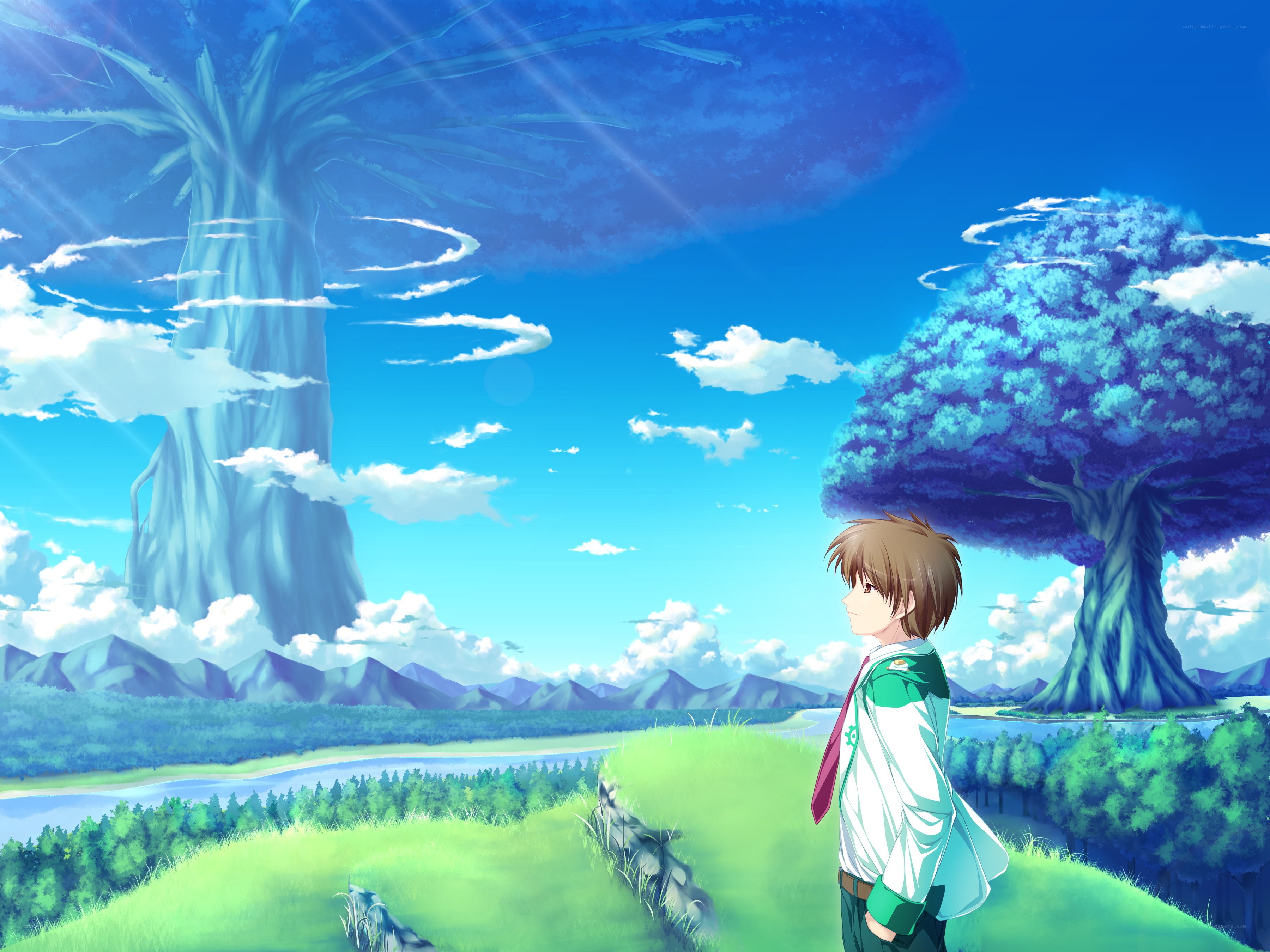 Anime boy in a fantasy landscape
