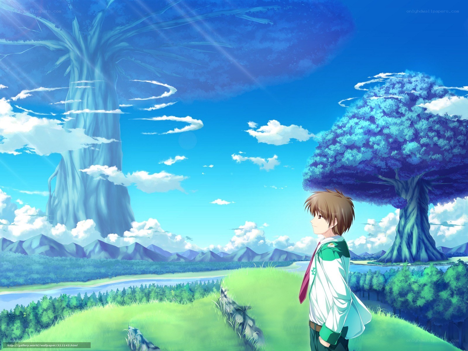 Anime boy in a fantasy landscape