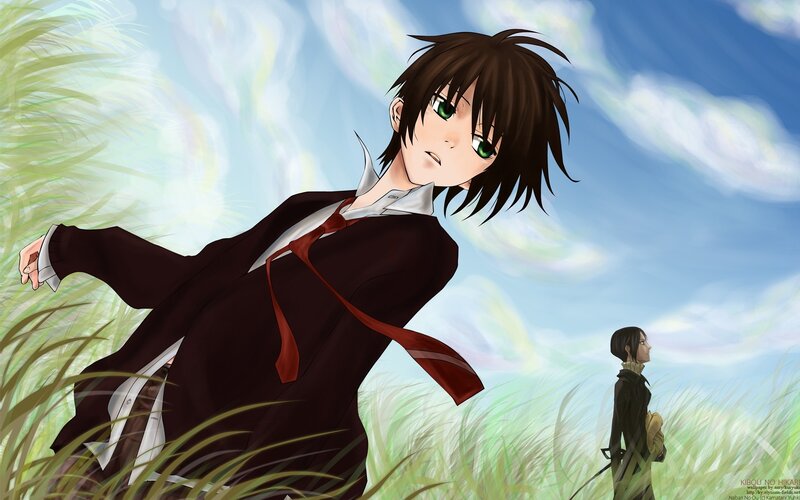 anime boy in a field