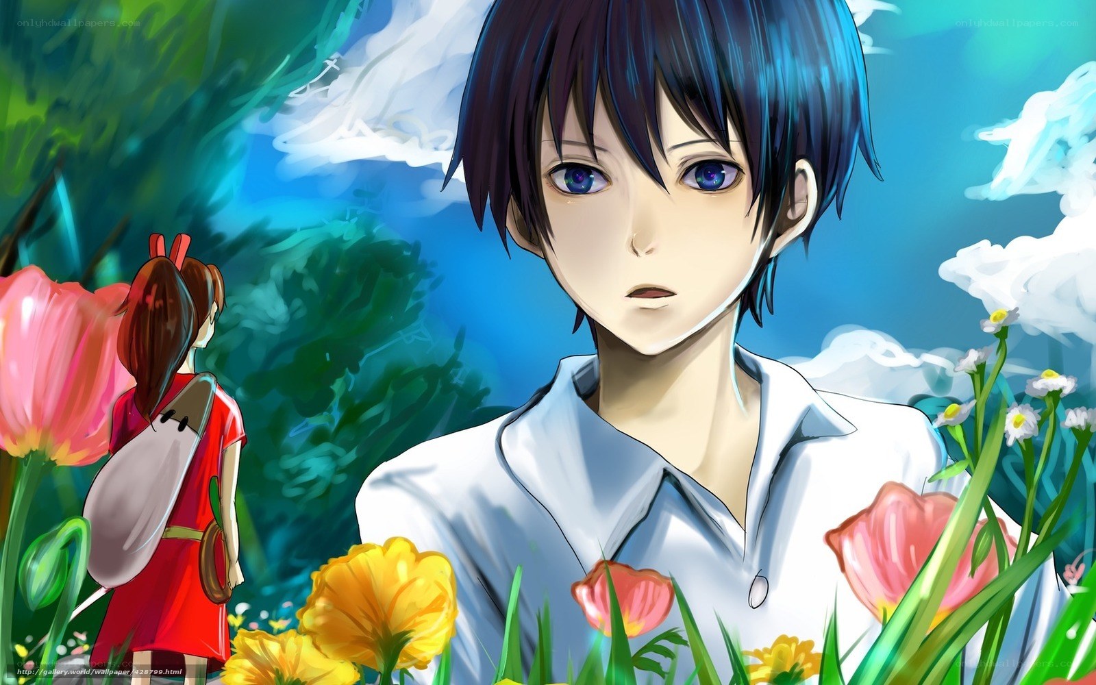 anime boy in flower field