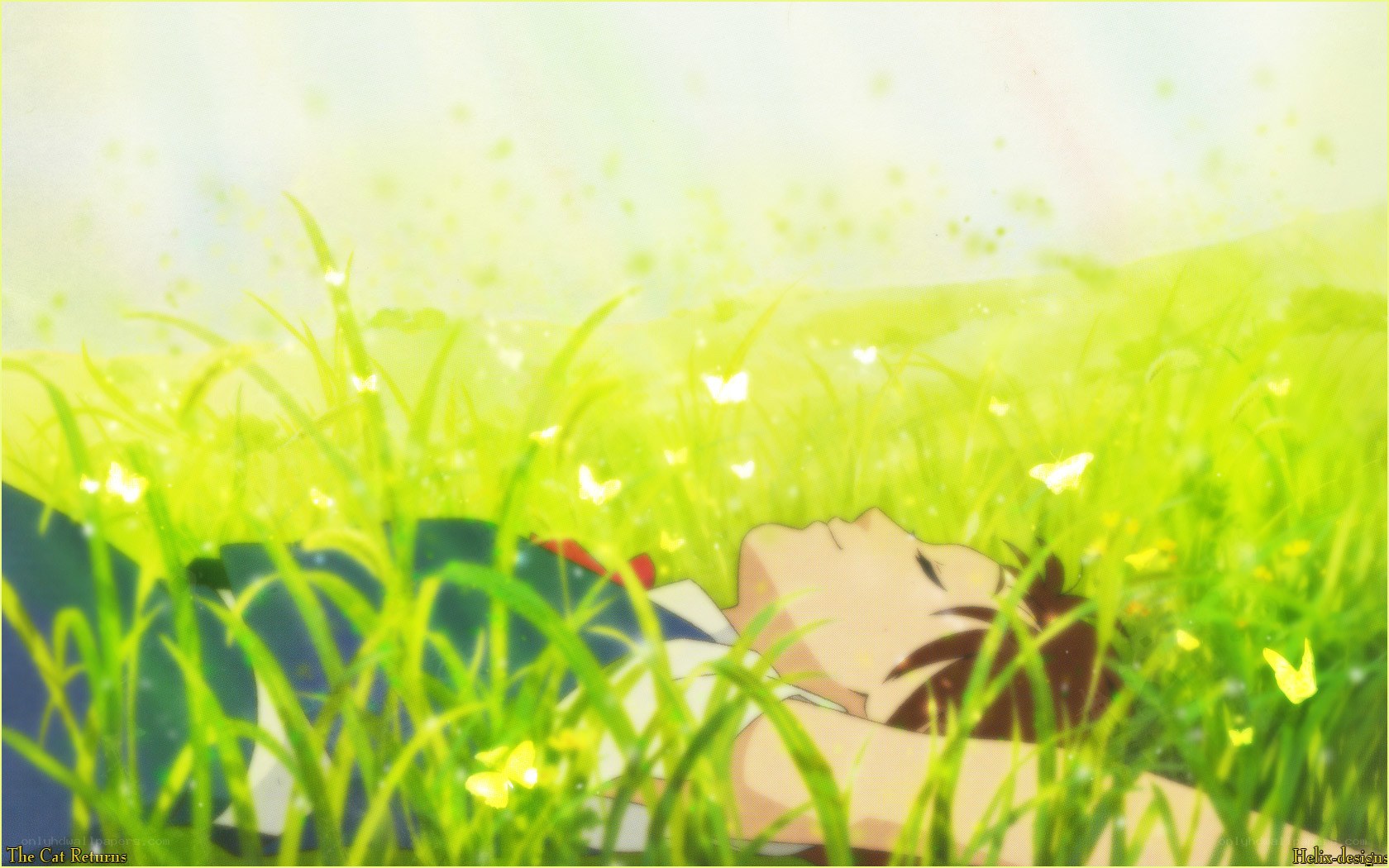 Anime boy in grass field