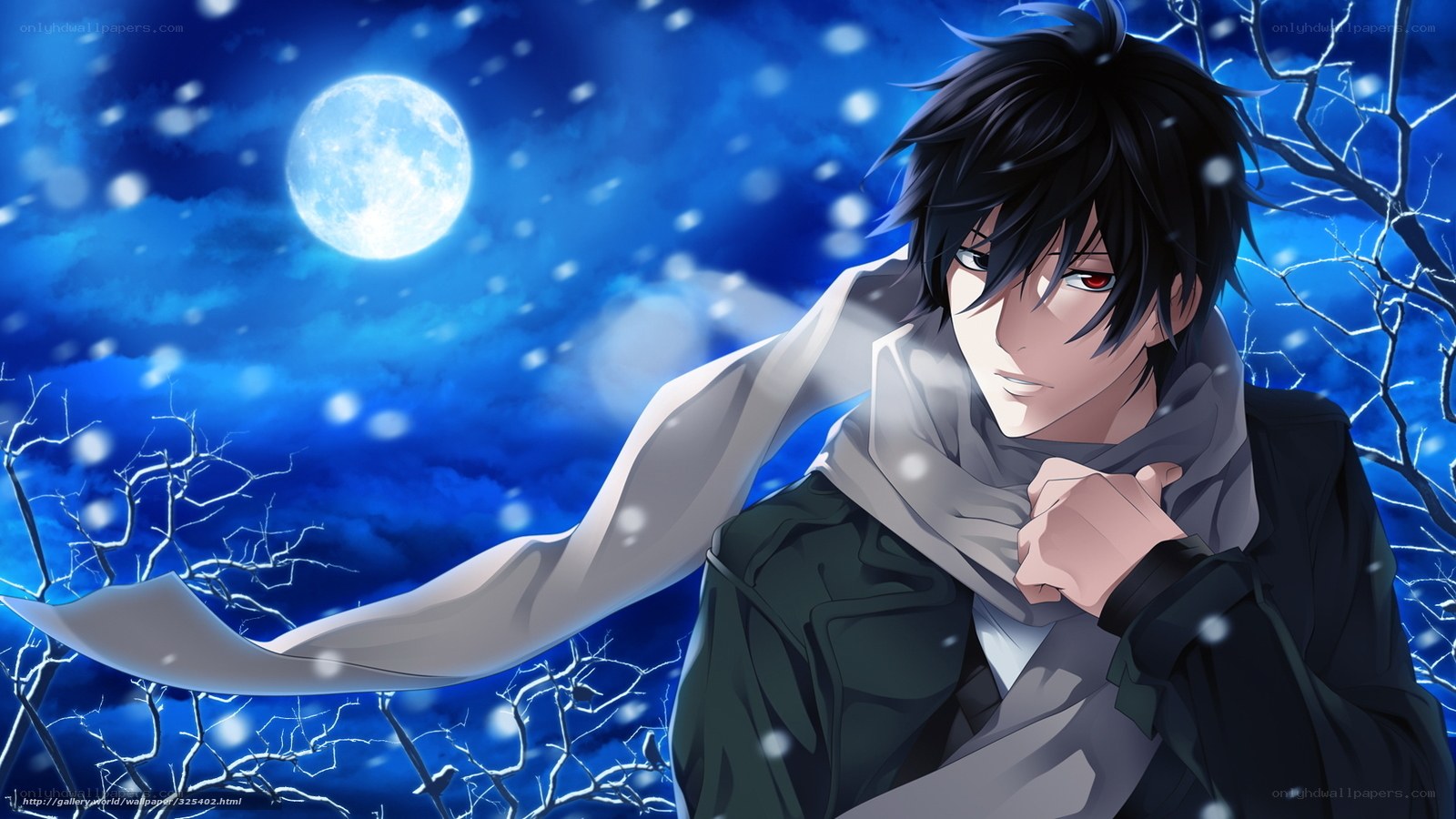 anime boy in snowy night