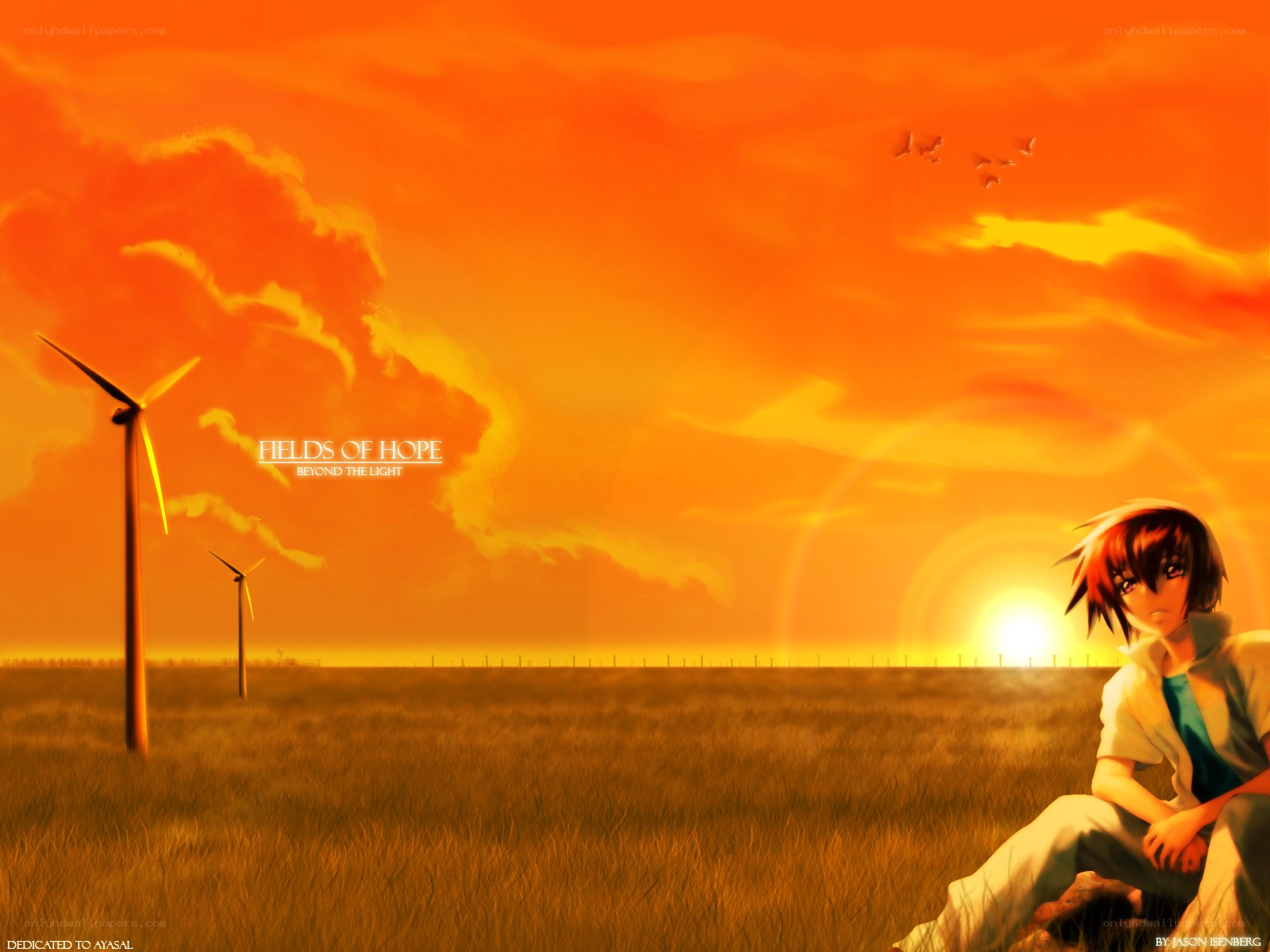 Anime boy in sunset field