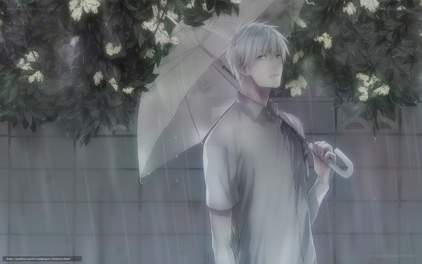 Anime boy in the rain