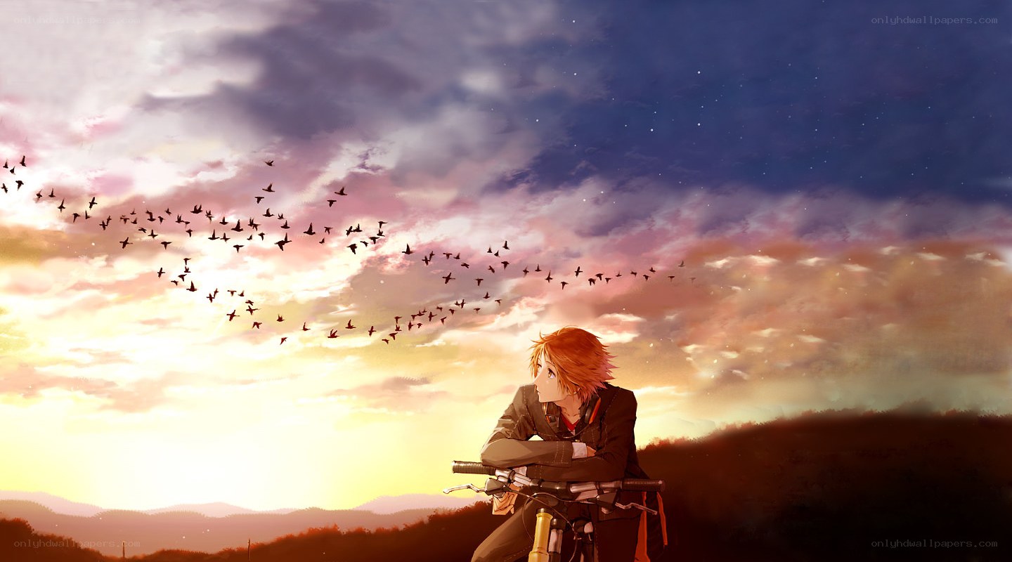 Anime boy on bike at sunset