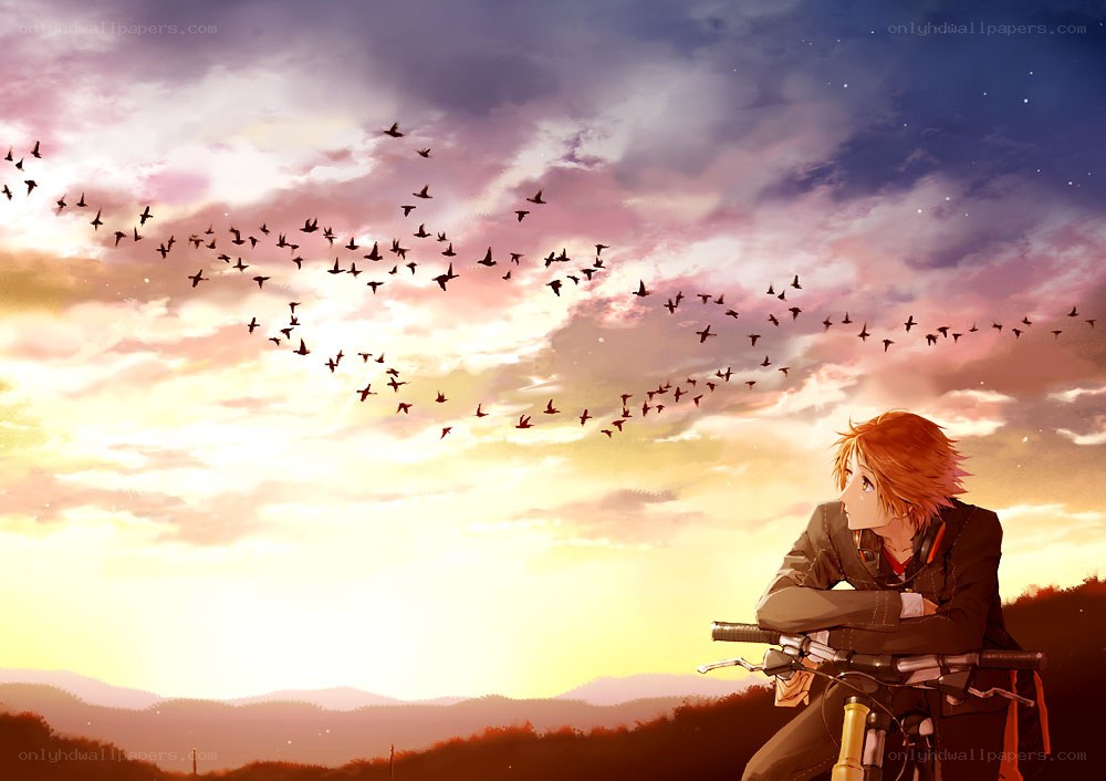 Anime boy on bike at sunset