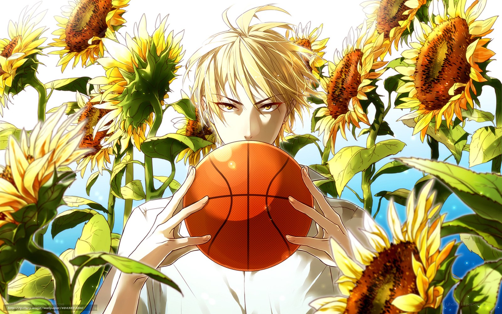 Anime boy with basketball in sunflowers