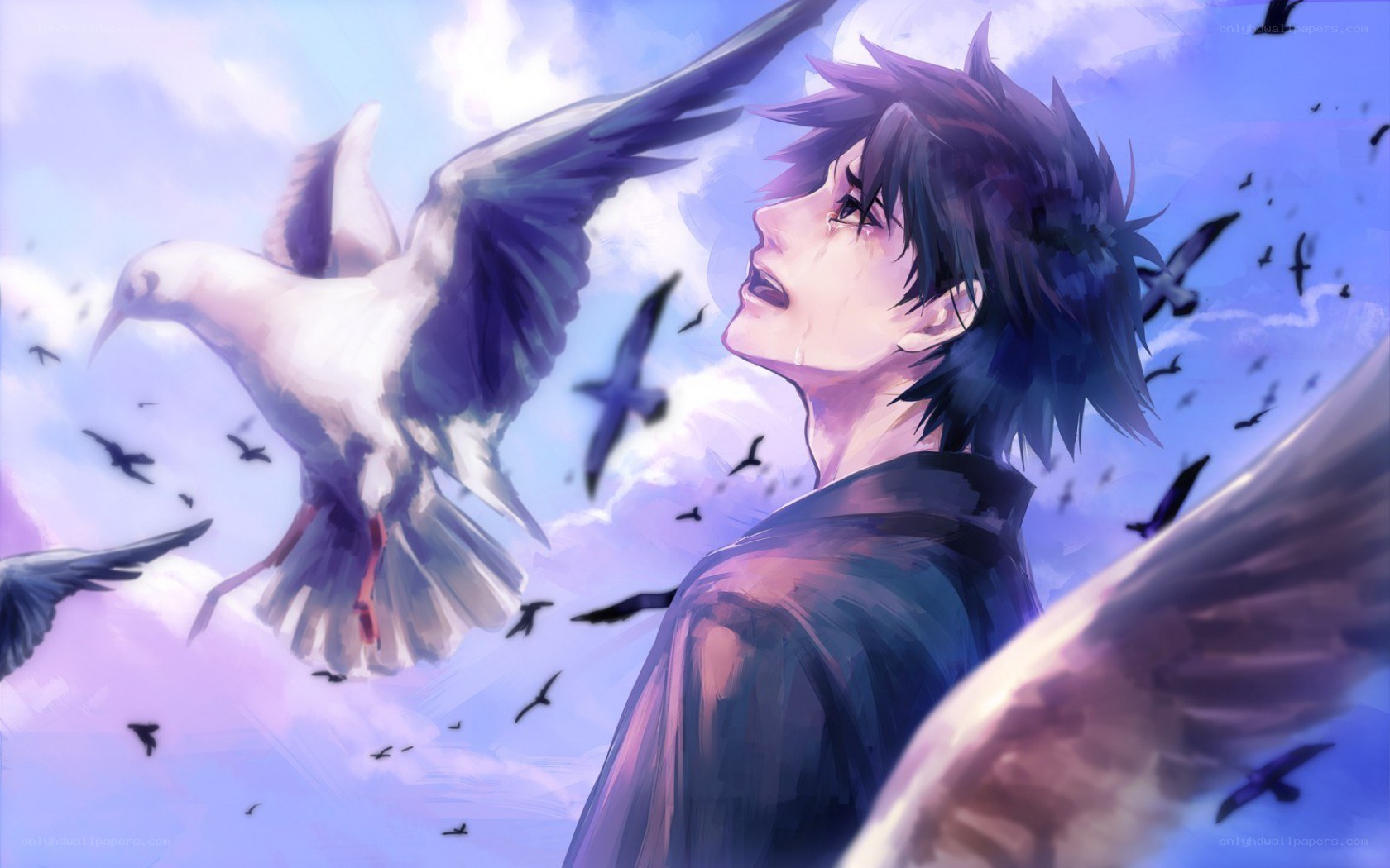 anime boy with birds
