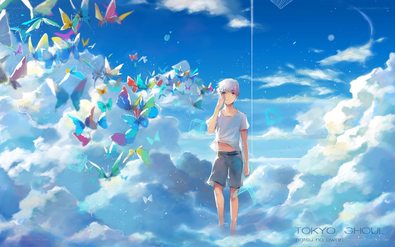 Anime boy with butterflies